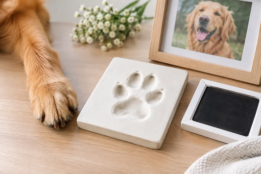 Pawprint Impression Kits That Honor a Life